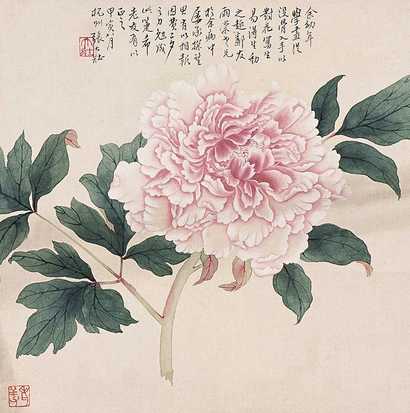 张大壮 花卉 镜心